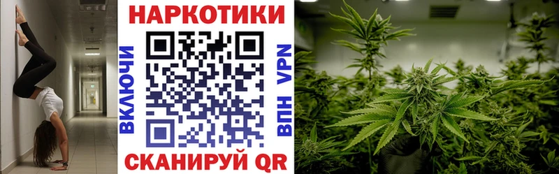 Виды наркотиков купить Ядрин КОКАИН  АМФ  ГАШИШ 