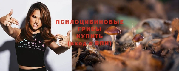 сатива Новокубанск