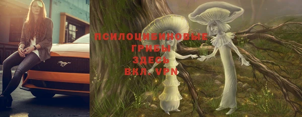 хмурый Абинск