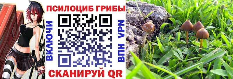 Псилоцибиновые грибы прущие грибы  Ядрин 